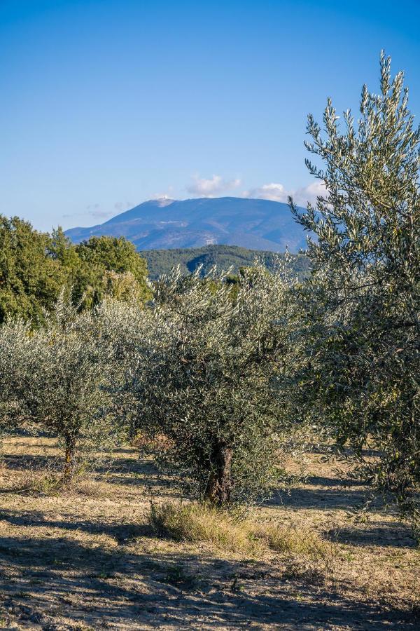 Gite "La Sainte-Croix", Traditional Provencal House For 8 People, Private Swimming-Pool, Air-Conditioner, Beautiful Scenery Vaison-la-Romaine Exteriér fotografie