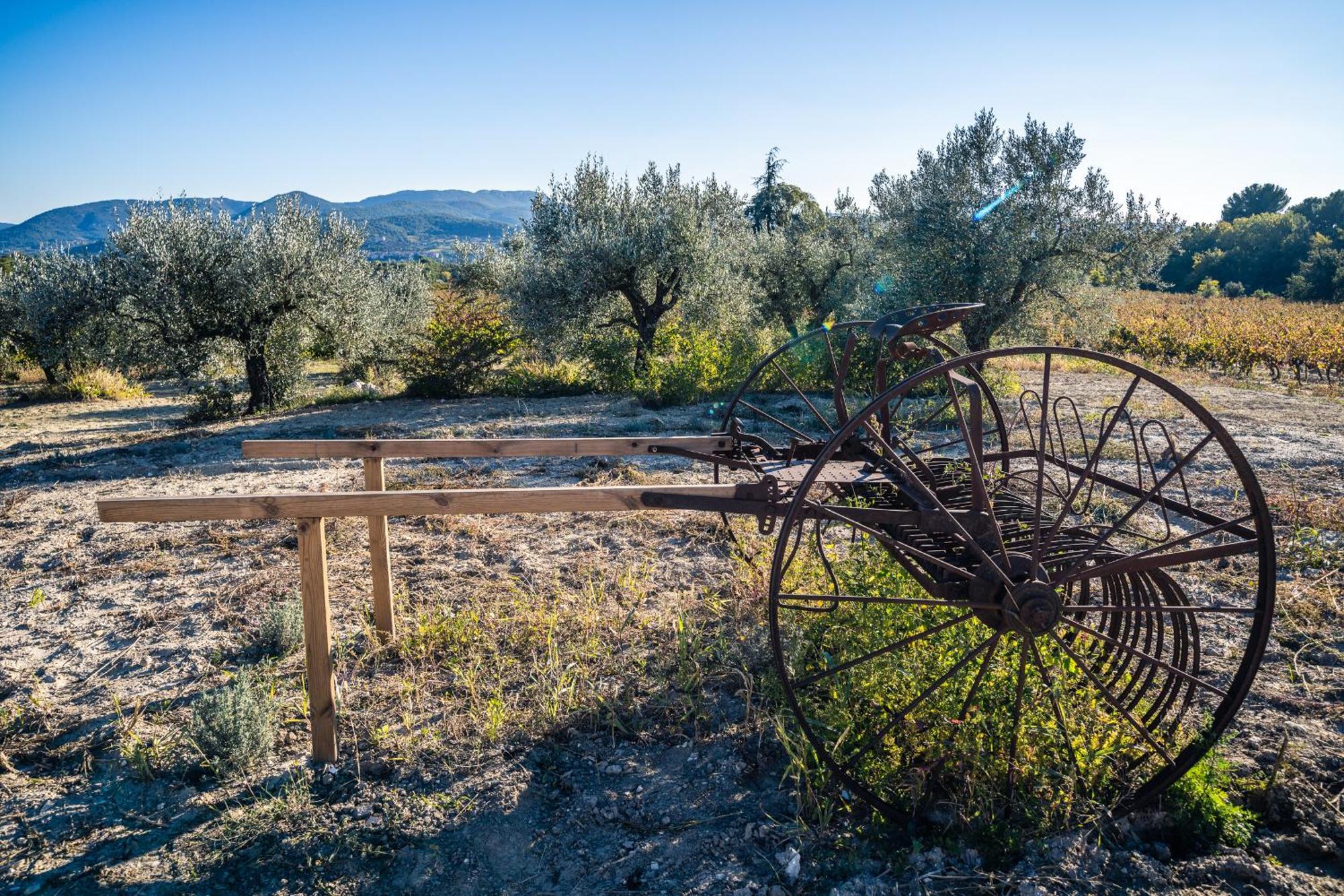 Gite "La Sainte-Croix", Traditional Provencal House For 8 People, Private Swimming-Pool, Air-Conditioner, Beautiful Scenery Vaison-la-Romaine Exteriér fotografie