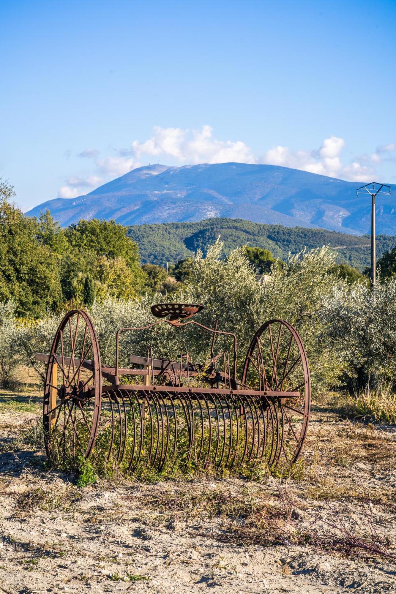 Gite "La Sainte-Croix", Traditional Provencal House For 8 People, Private Swimming-Pool, Air-Conditioner, Beautiful Scenery Vaison-la-Romaine Exteriér fotografie